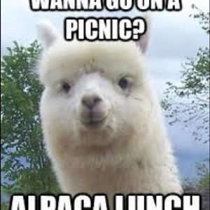 Meet your Posher, Keenan